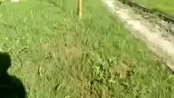 tied to a tree fucked by multiple strangers