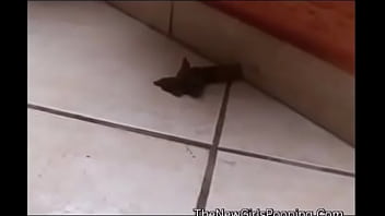 indian desi nude girl farting pooping shitting pissing