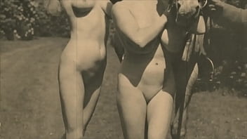 vintage bear porn