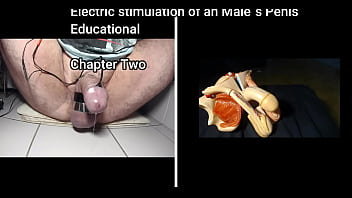 dominatrix electric bdsm penis