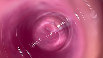 internal view of ejaculation