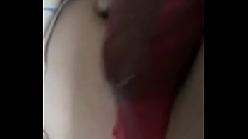 shemale donkey dick pounds guys video porn