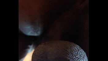 girls licking goats ass